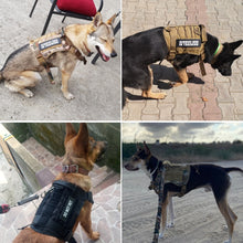 Load image into Gallery viewer, Tactical Dog Harness Pet Training Vest Dog Harness And Leash Set
