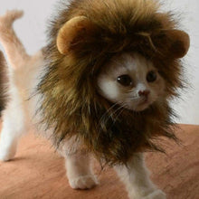 Load image into Gallery viewer, Wisoice Costume Lion Mane Wig Cap Hat Cosplay Cat Clothes Pet Small Dog
